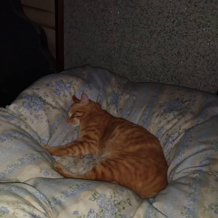 09dfcc04 53e3 4bc0 8bb3 bba79664c265 1664201472667