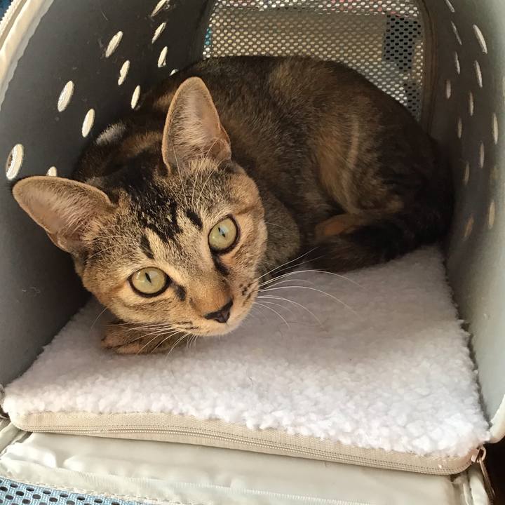 09e001bf 972a 468d aec1 eb122afe2aab 1574309918070