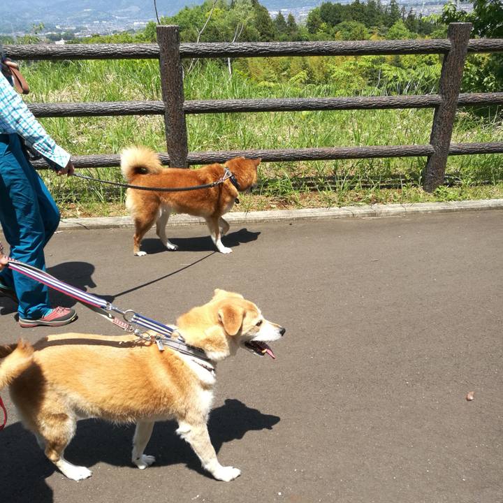 09e00f9b 48b8 4e65 9a51 16c3e64a3aa8 1557025988721