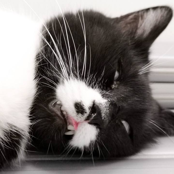 09e01d0d 9b2a 4747 ae44 2e716cd492f8 1572012900697