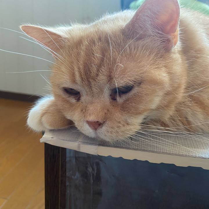 09e0227b 7812 4b6f 82d7 ae99033c33f1 1625898265319