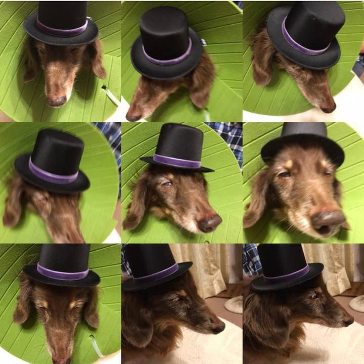 09e02318 79a6 438b 8fa6 4e9872c4c991 1667207496707