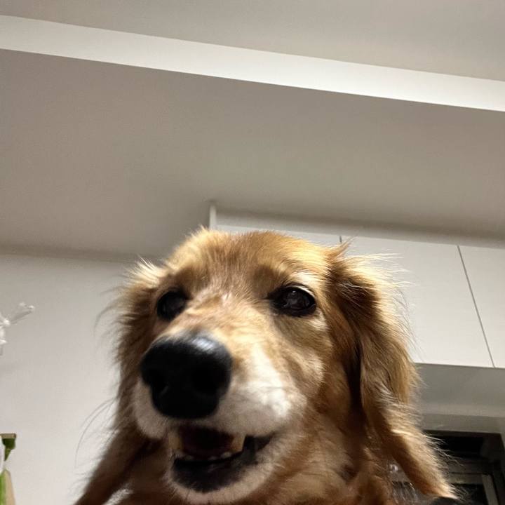 09e026c0 24be 4404 b2e6 08cac4560901 1652450924993