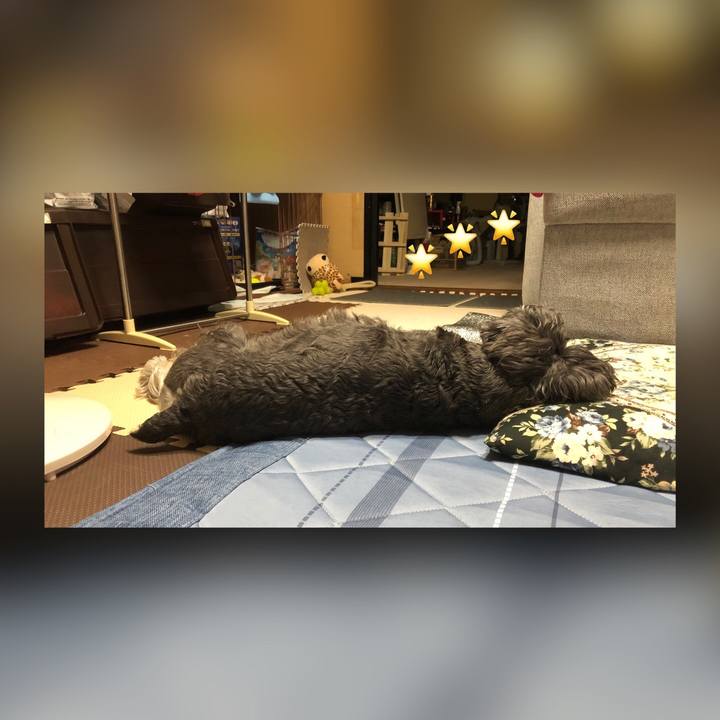 09e0a948 1759 4bac b346 1c00fd7655e5 1665239994780