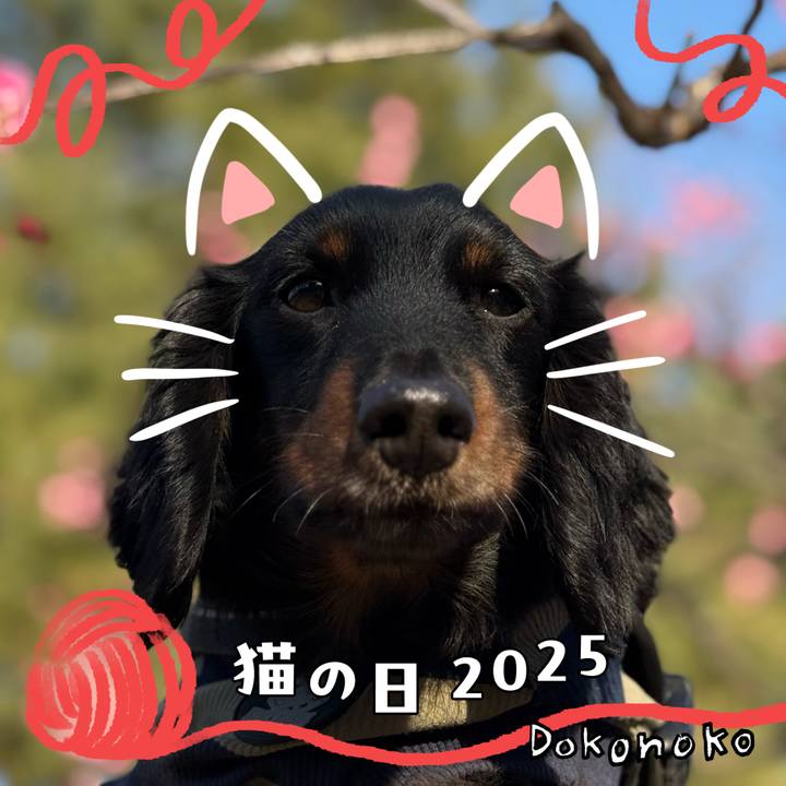 09e0d938 8703 49f1 913d b084911d79df 1740188814846