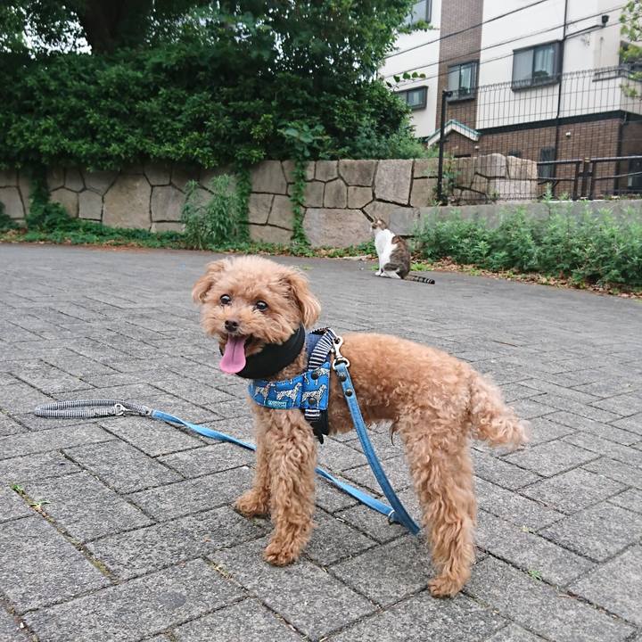 09e0de9e 8e24 497a a15b 4258c178216c 1559864345565