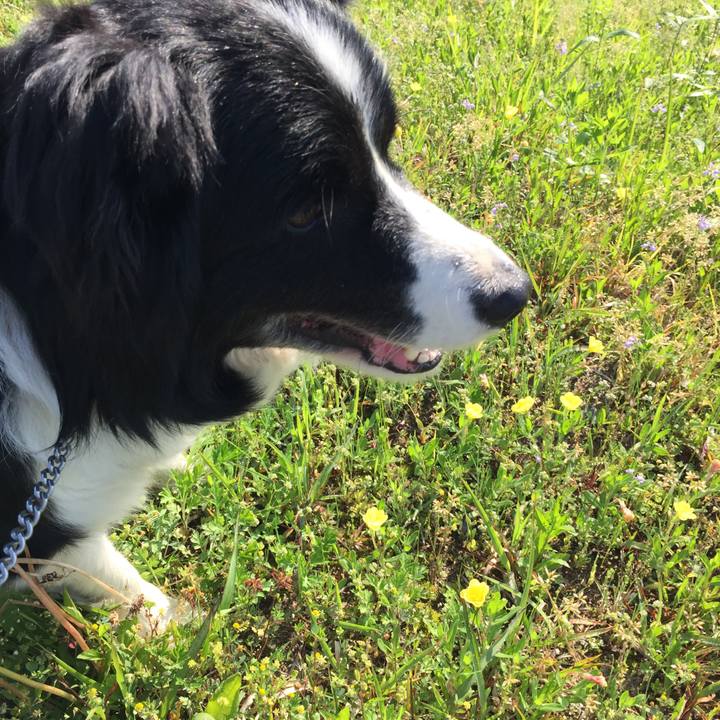 09e109b0 c8f3 47f2 bf8b 751bce0d0443 1524264594407