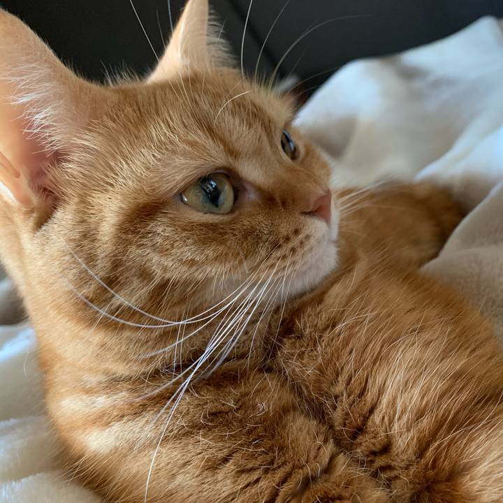 09e10b12 c522 4f04 93a8 a6cc3a5dba4c 1636154910791