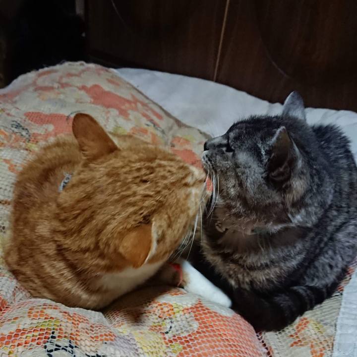 09e119ff c717 4fcd 9c6e 58b123a41359 1605355600933