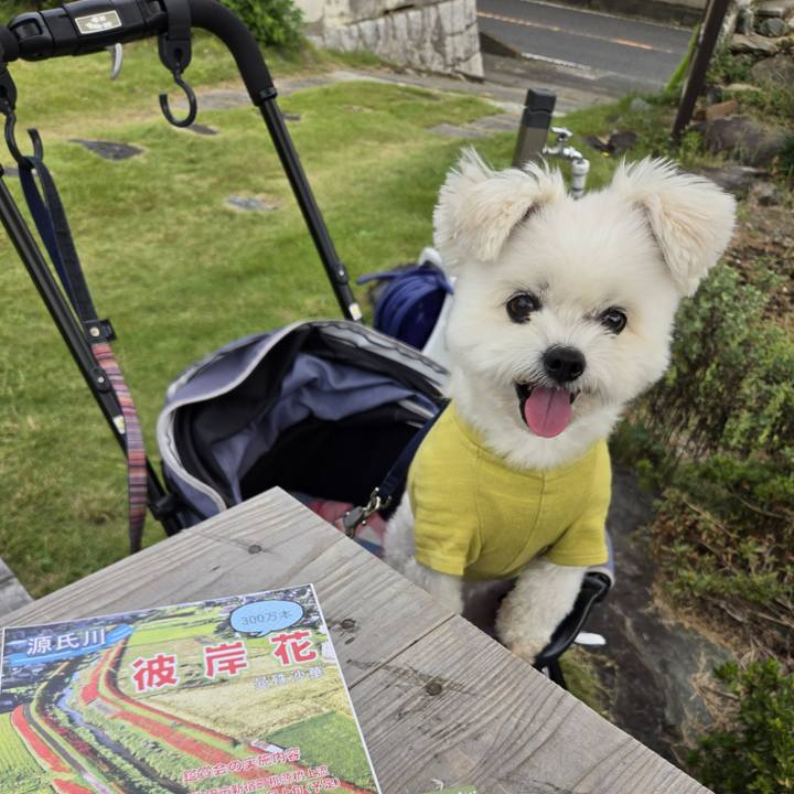 09e12605 2a58 4c59 93e1 e25a5f05e371 1759669227928