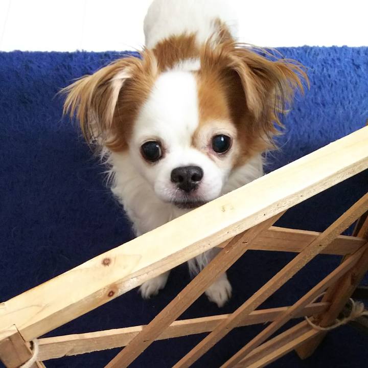 09e1323b 51a1 4af6 998a d57344c41a17 1520049155130