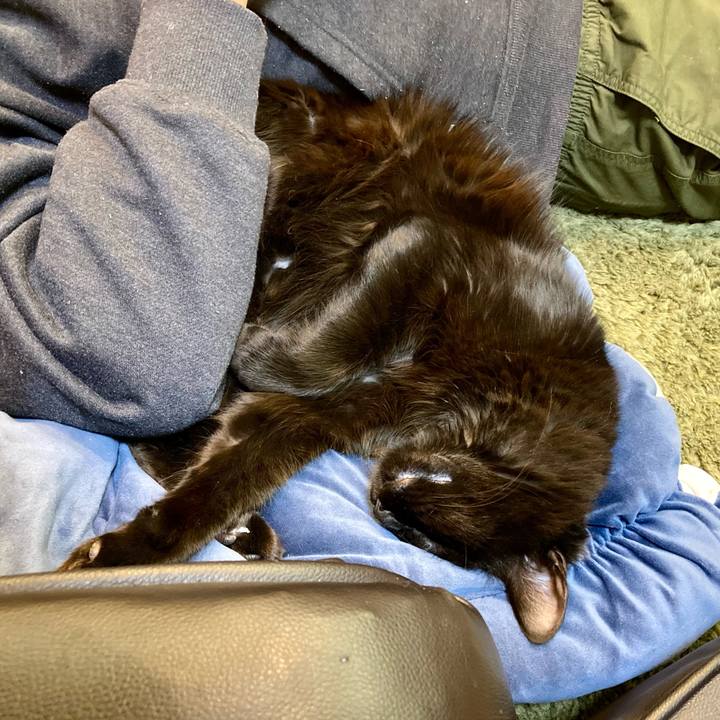 09e13958 9d04 425c 9a25 ab8ed4fb129e 1741597726907