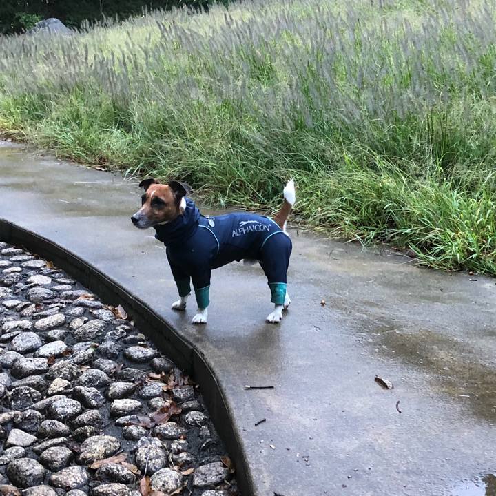 09e147e5 0115 443d b98f bbaf22895e8a 1539731421483