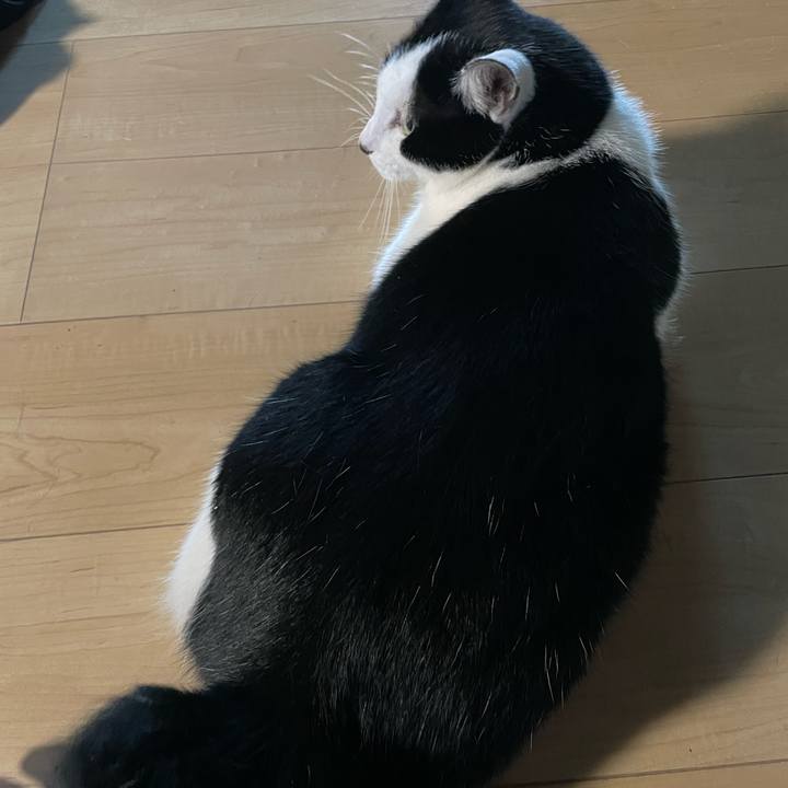 09e15331 1090 416a 95e8 06ce7fe31183 1691440099508