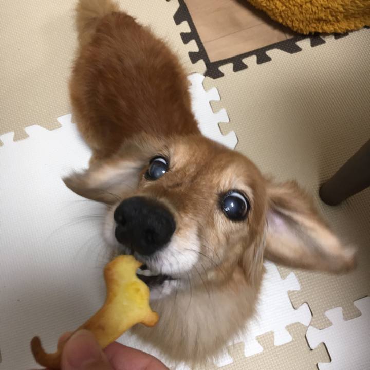 09e168c7 766b 434a b3f5 30c3de56be41 1629456204888