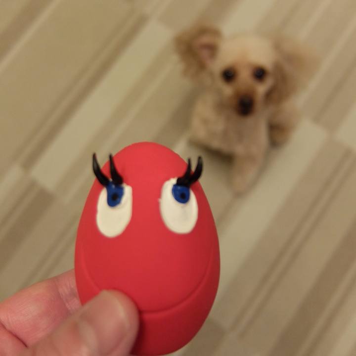 09e17c97 17d4 4622 954e e544df80e492 1520639481705