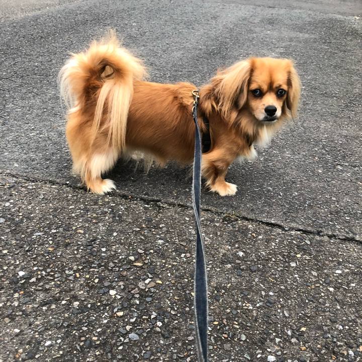 09e17fe3 e006 4ebb 951f 475d3e6b01f9 1539554661811