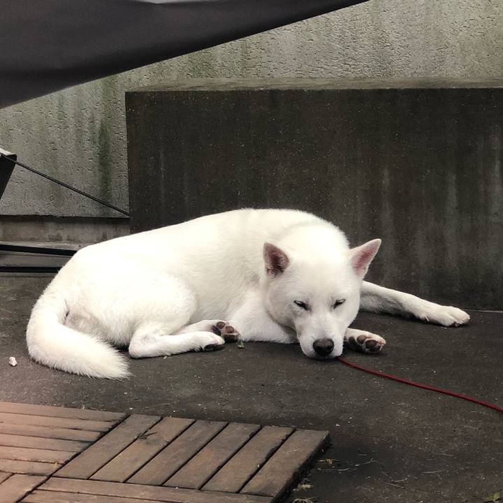 09e195e9 1b84 4c05 9d5d 3e0388475454 1559353899771