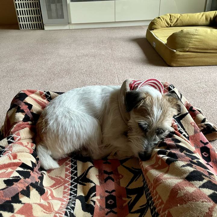 09e21e9e 36f9 44a2 9c00 8ae0e5f33ca7 1668495563254