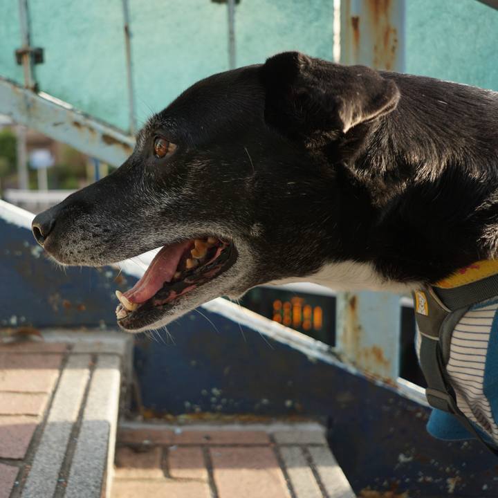 09e21f17 db9f 4195 9160 e30d9bdff910 1763432456330