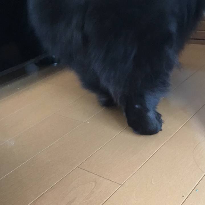 09e23502 e435 4164 948c 3e30d9cbb13f 1546769897545