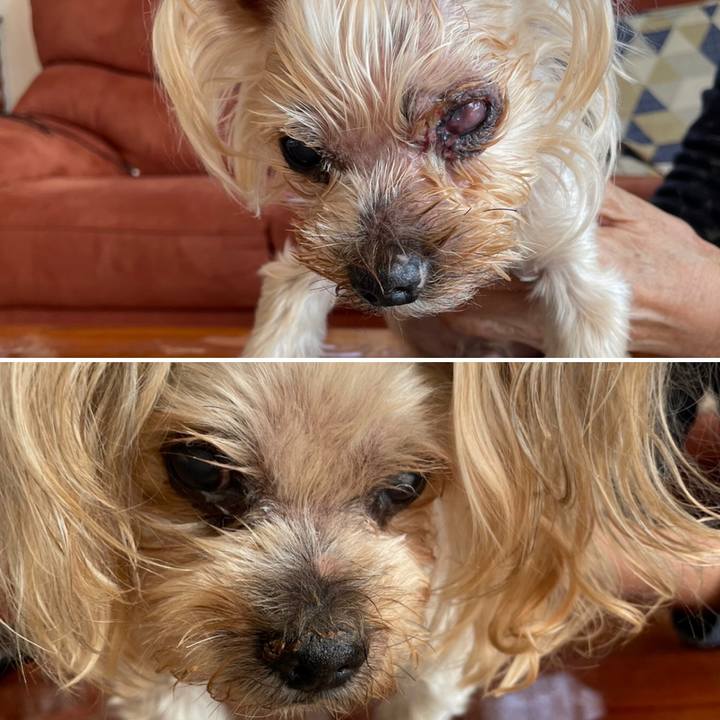 09e236a6 65fb 4c4b a026 cf8e7b0dcdf1 1700558539663