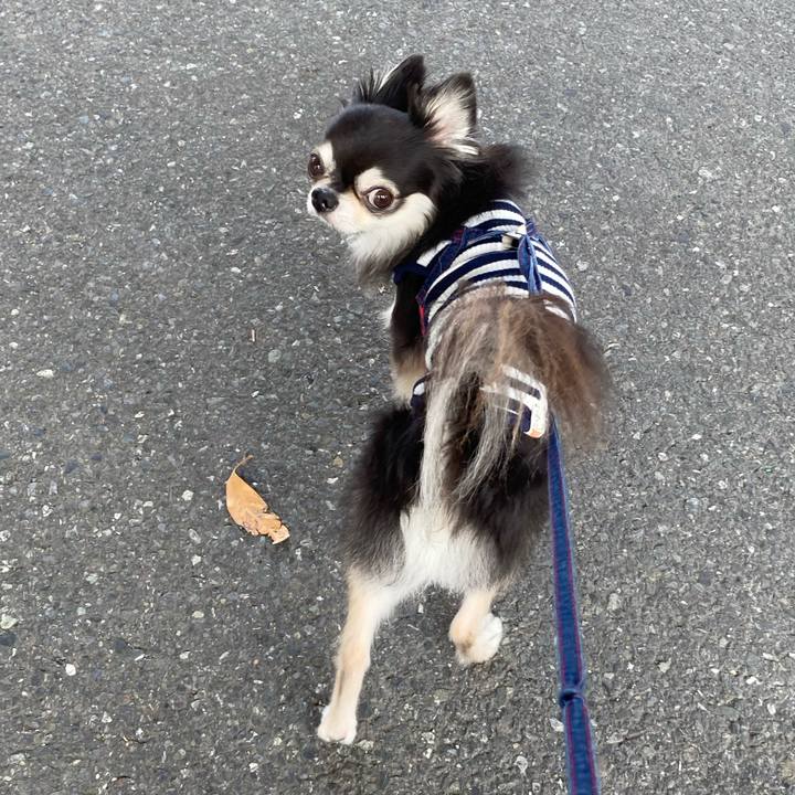 09e25778 d90a 4289 9d73 636bdd27e989 1716719718724