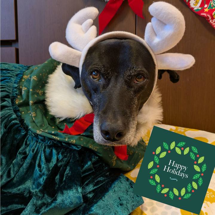 09e26803 220c 44c2 b514 6d749e83c0ad 1735001398124