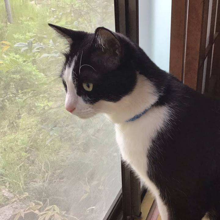 09e26d3a 01ce 4ffe bce5 ef7e63fde26a 1713171208006