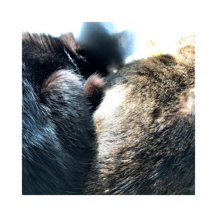 09e2799b 8494 42eb 9775 b96756a2ffa3 1582515796312