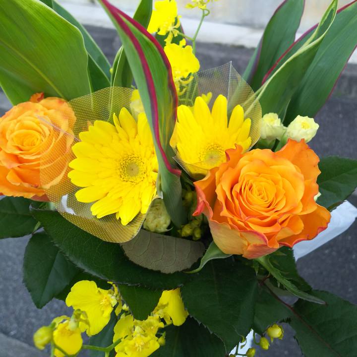 09e292c3 6094 42f2 a75e 281abae3fdc7 1542768253409