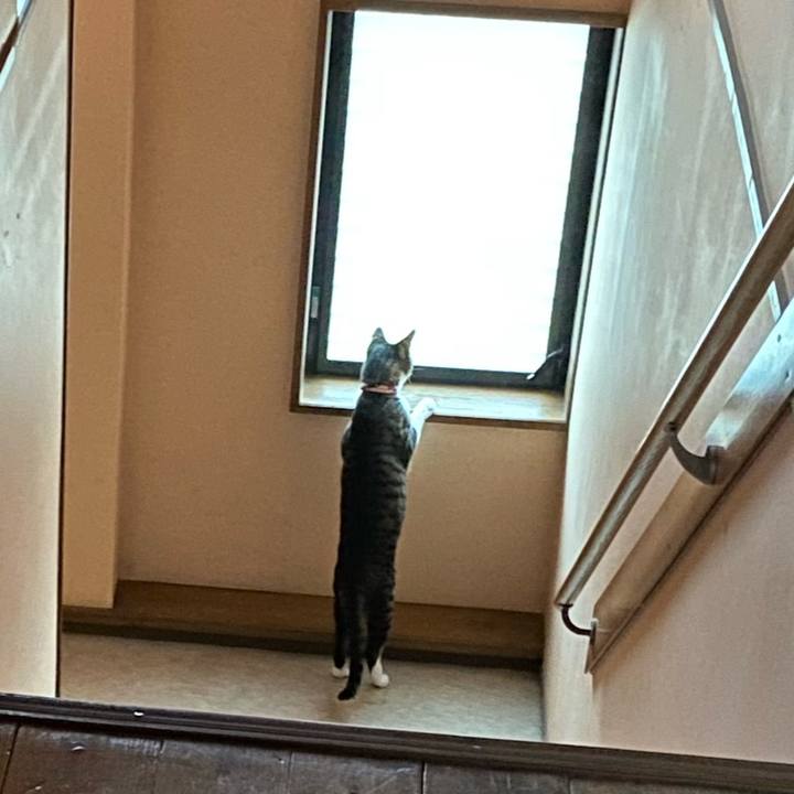 09e2b666 aa66 4bd9 8a76 0336bea835a8 1749720247651