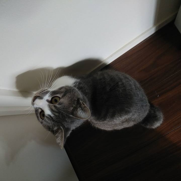 09e2d5a1 6f27 4bba 810f aa9813c39172 1577412548881