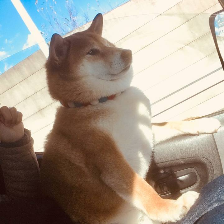 09e2dcbd 2e81 4663 8302 6b11dacca649 1575770817218