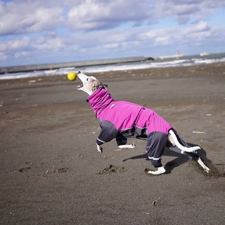 09e2e8dc 4e1d 45b7 a665 f9ebaffa262d 1543060672805