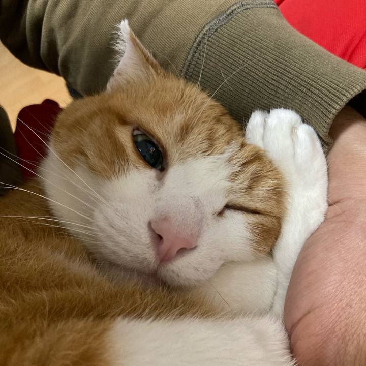 09e32726 1d8b 4b48 964f 631281c8a06c 1766378561649