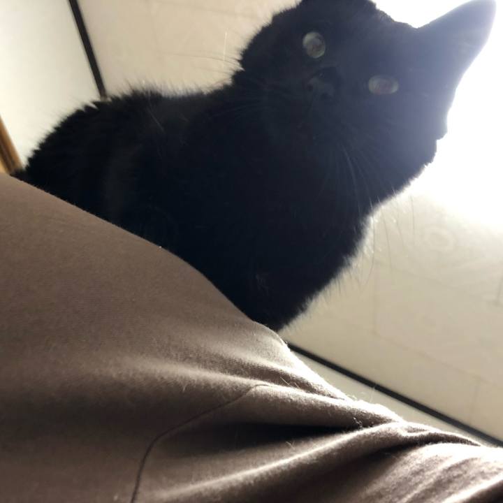 09e3550e 02e5 4cf4 baa4 4b625a262468 1604235040130