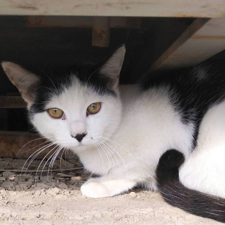 09e363de 5570 4cc2 91d5 57a0307c4dd3 1579848702542