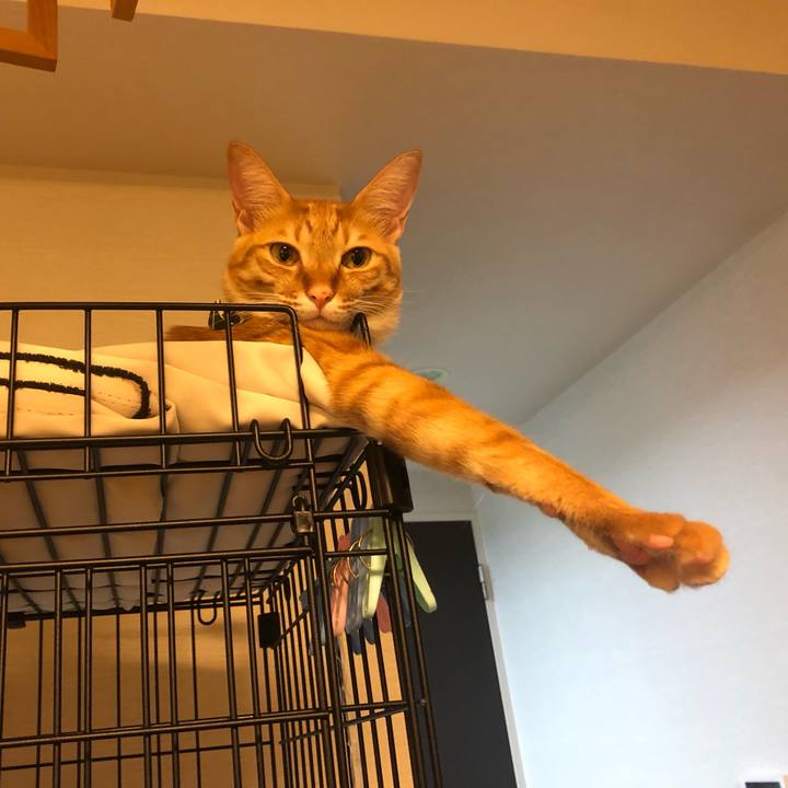 09e3796c d6a3 4f9f b189 d739191337bc 1632402432677