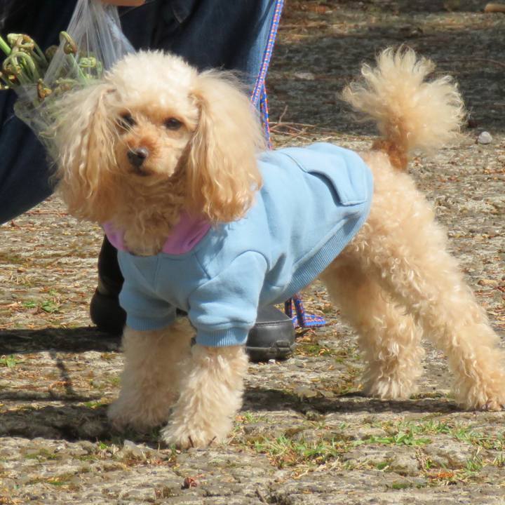 09e39343 5e69 4985 976c 8cec52d6e022 1647760257777