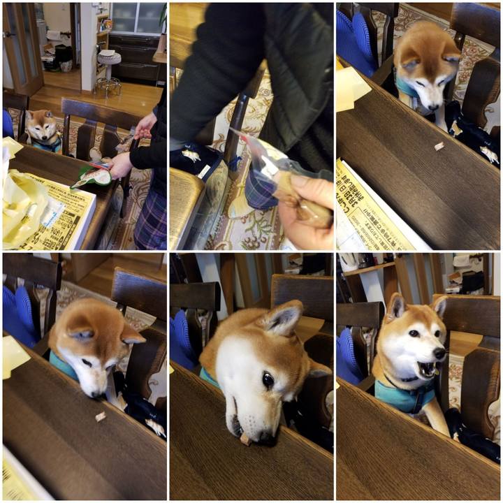 09e3b06b cbeb 4def 8dd0 32b48ecbe722 1551668514673