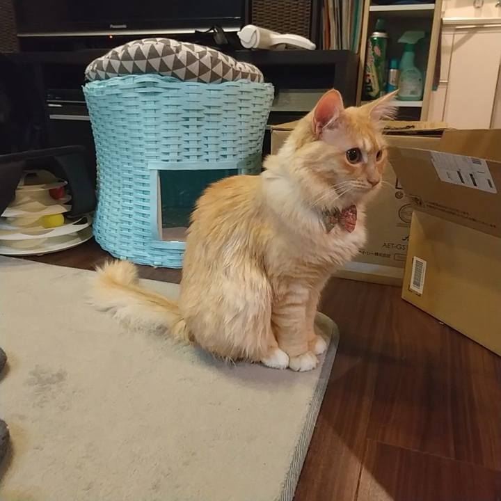 09e3ce8d 590e 4300 ad31 f71a9875d97b 1640814034531