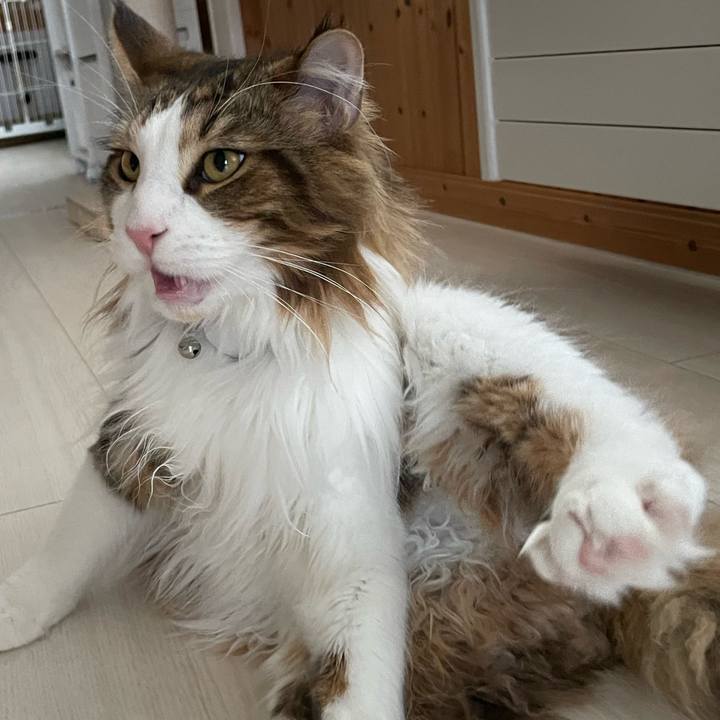 09e3fba3 2aca 4a86 bcee e88915efc1c7 1650609882882