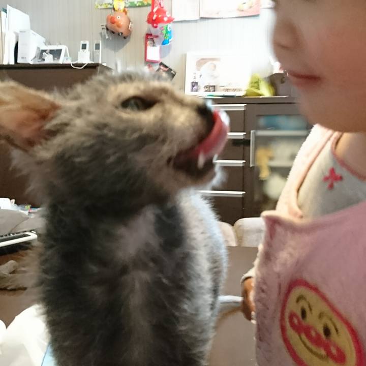 09e3fbb4 adf5 4d27 9953 b8abf1fc68c7 1517878752009