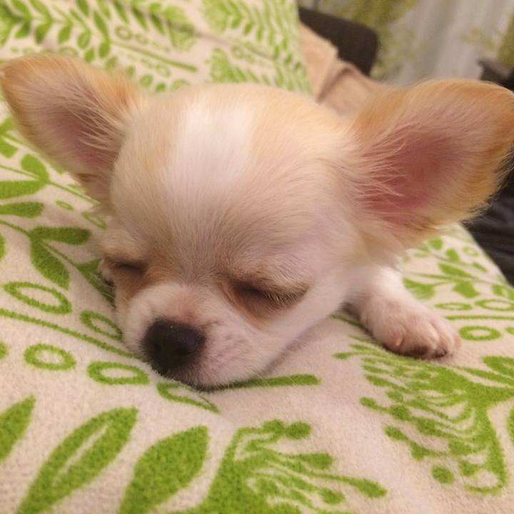 09e41288 b04f 43e7 b33d 3f98a1a5ff60 1508255087959