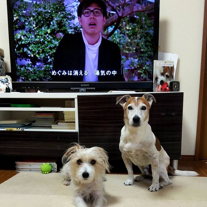 09e41458 1101 4e3a 9db1 c7d0710d5331 1559168334264