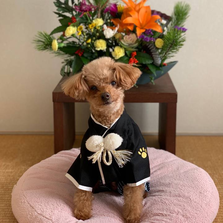 09e41a1c 5710 4eb2 a6d9 aa4e3c542d03 1767228350535