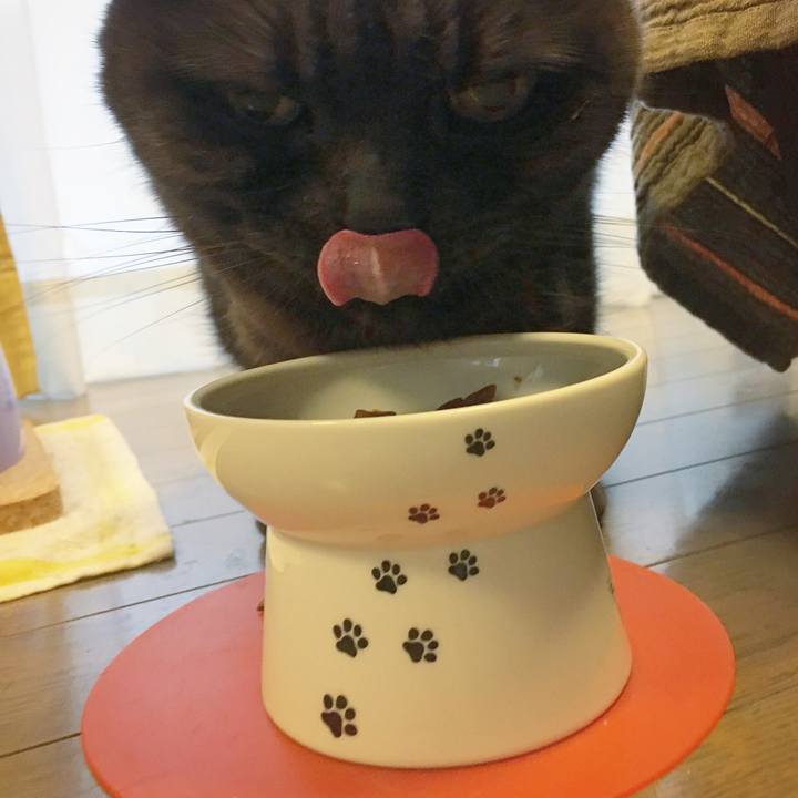 09e422c5 e7bf 4e0c a43e b5a59ccd397d 1588747398702