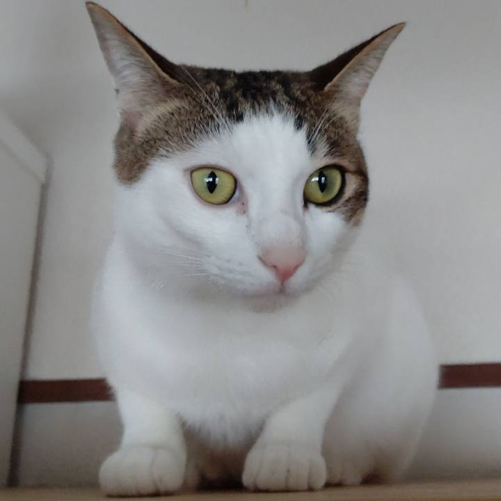 09e42865 f101 4a0b b3d0 f4cdd2801daf 1672616922341