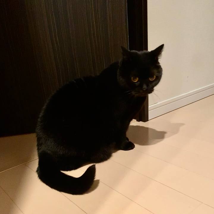 09e43a85 da0a 4f61 8ca0 6db9ddc8b481 1674993126784